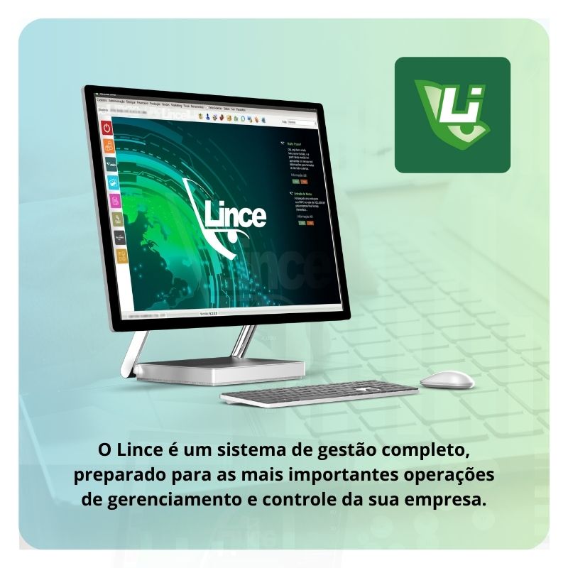 Sistema Lince - Gestão - ERP